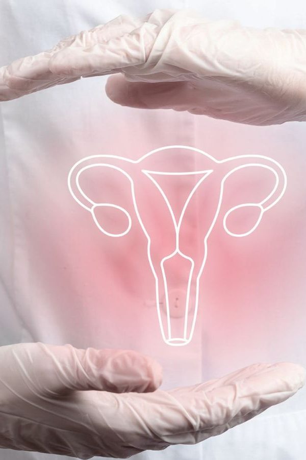 gynecology gynecology