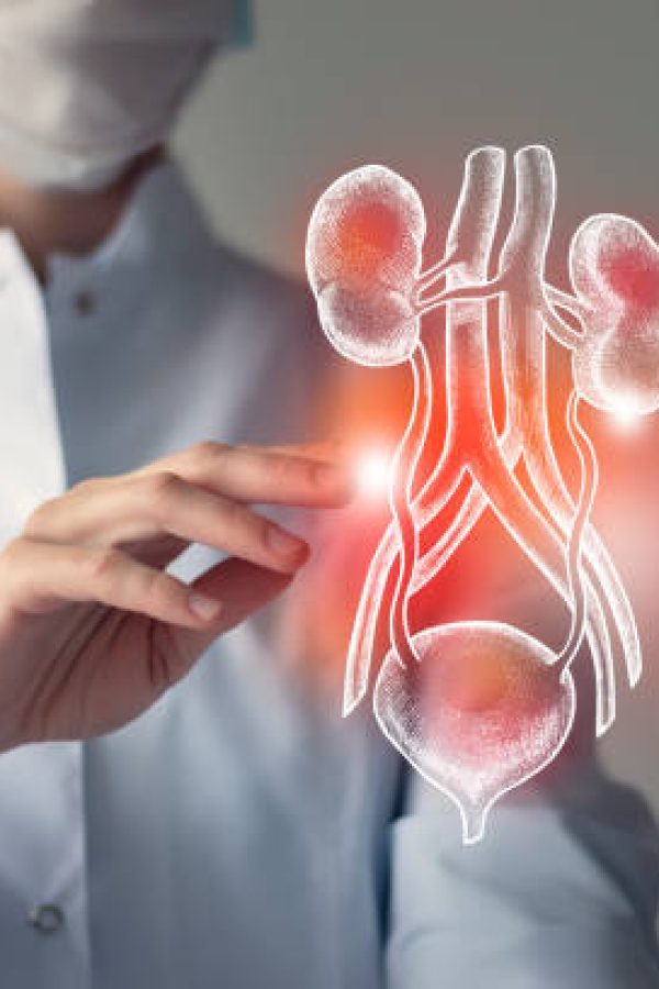 urology2 Female doctor touches virtual Bladder and Kidneys in hand. Blurred photo, handrawn human organ, highlighted red as symbol of disease. Healthcare hospital service concept stock photo